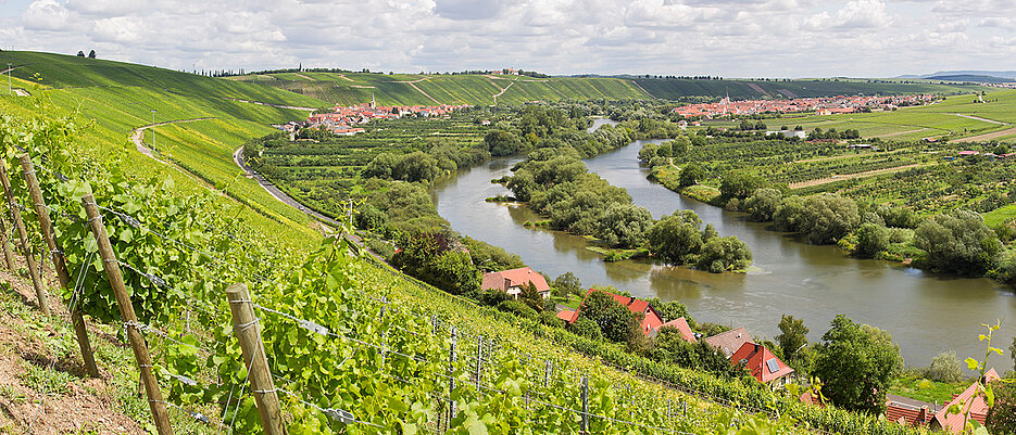 Klimawandel verändert Landwirtschaft: Neue Studie mit Blick auf Franken
